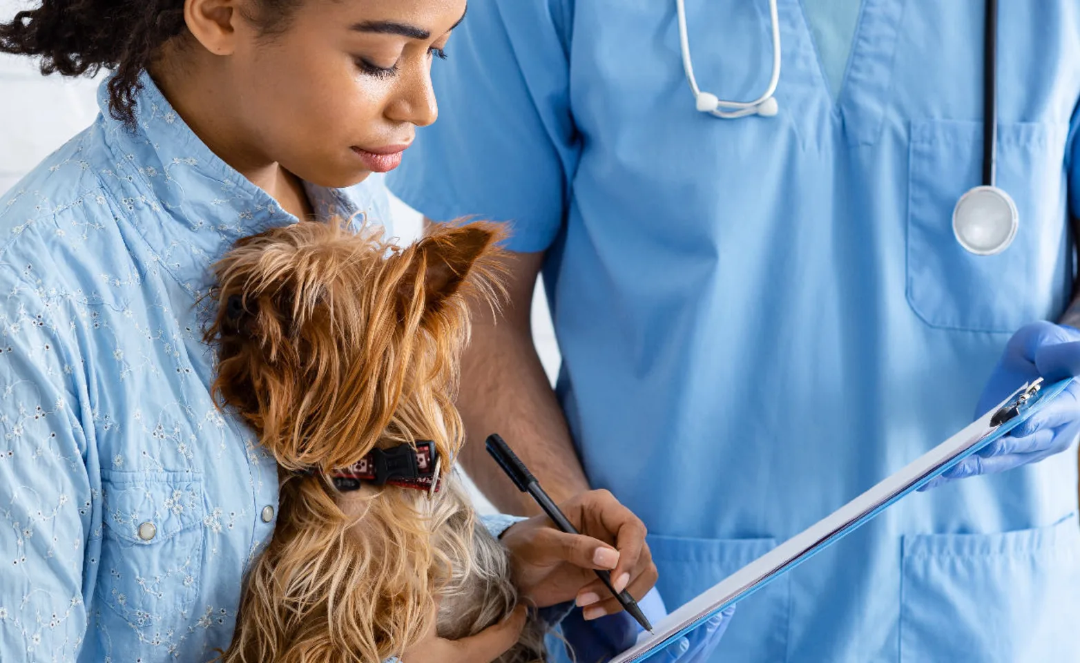 Doctor with patient and dog